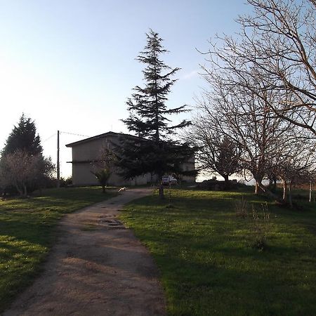 B&B Misatere Vallelonga 外观 照片